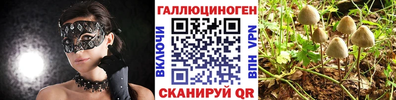 Галлюциногенные грибы Cubensis  Ужур 